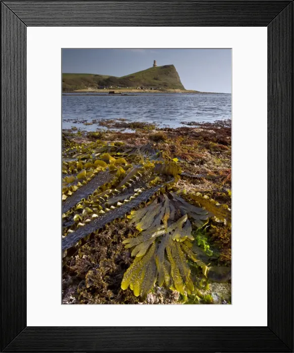 Framed Print : Picture No. 10886767 Framed Print : Picture No. 10886767
