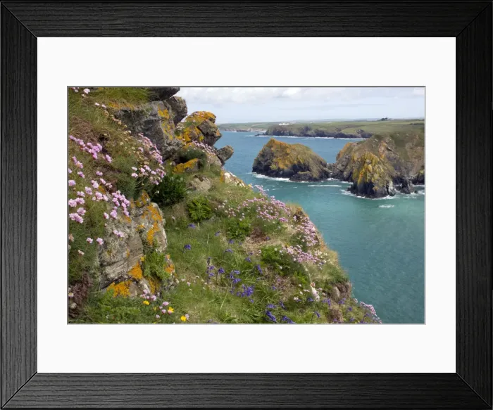 Framed Print : Picture No. 10886771 Framed Print : Picture No. 10886771