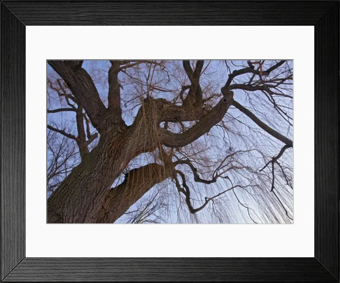 Framed Print : Picture No. 10886765