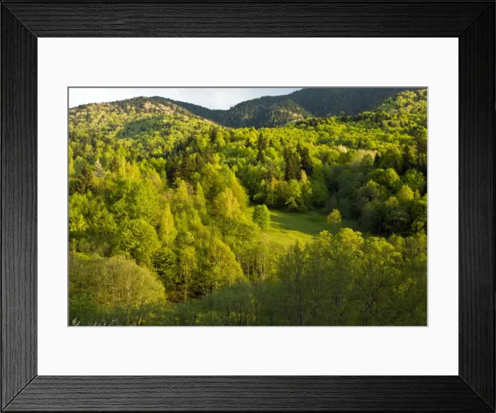 Framed Print : Picture No. 10886809 Framed Print : Picture No. 10886809