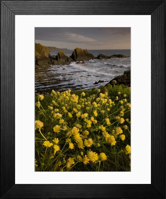 Framed Print : Picture No. 10886811 Framed Print : Picture No. 10886811
