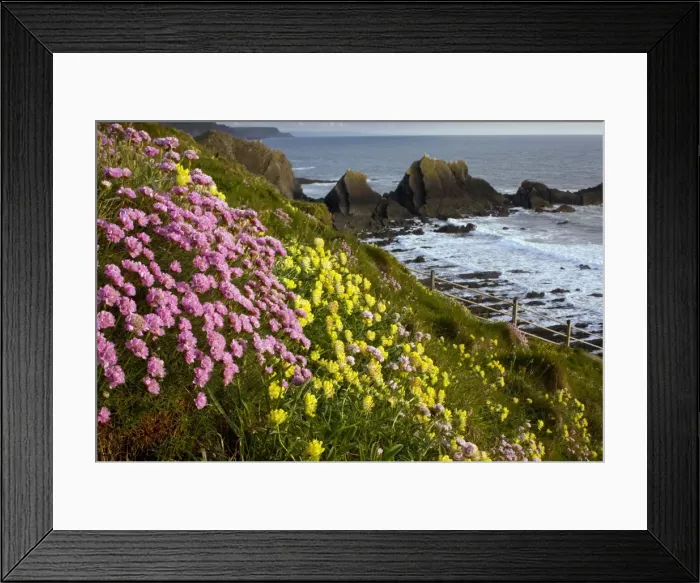 Framed Print : Picture No. 10886821 Framed Print : Picture No. 10886821