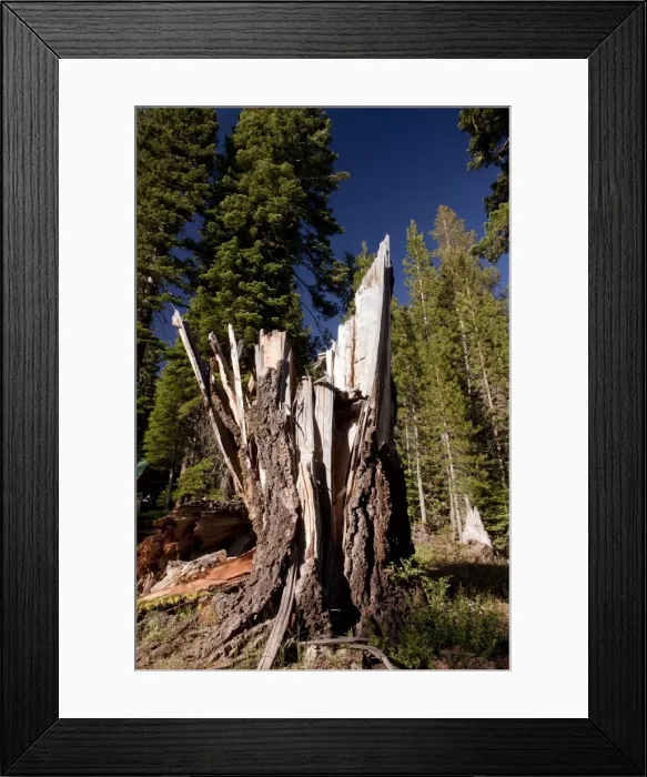 Framed Print : Picture No. 10886842 Framed Print : Picture No. 10886842