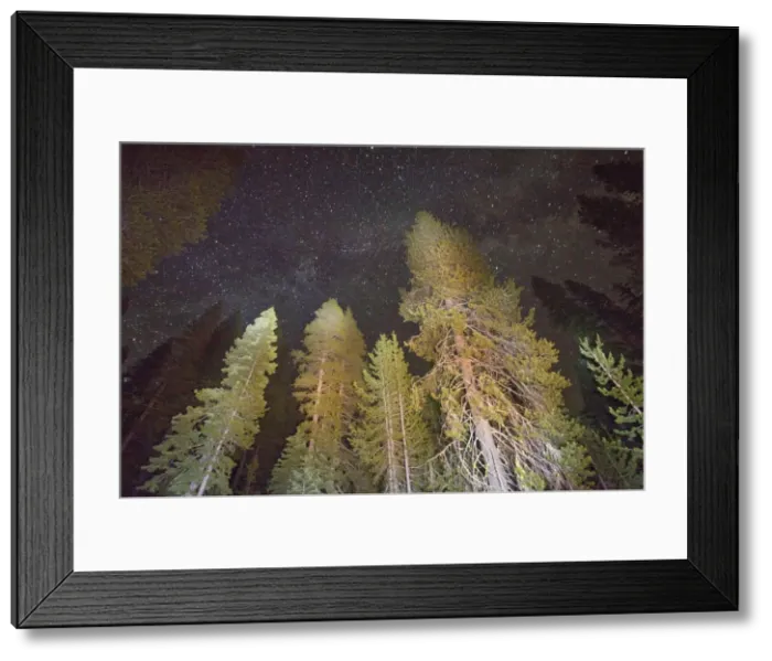 Framed Print : Picture No. 10886847 Framed Print : Picture No. 10886847