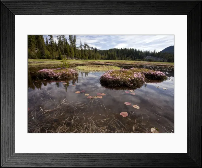 Framed Print : Picture No. 10886860 Framed Print : Picture No. 10886860