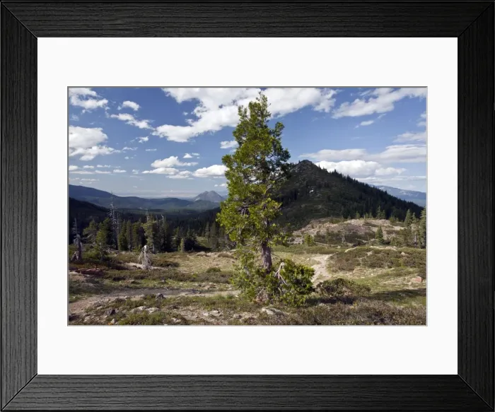 Framed Print : Picture No. 10886872 Framed Print : Picture No. 10886872