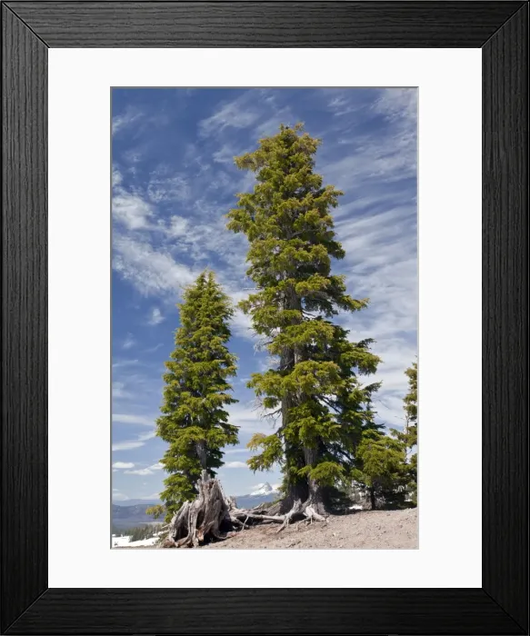 Framed Print : Picture No. 10886876 Framed Print : Picture No. 10886876