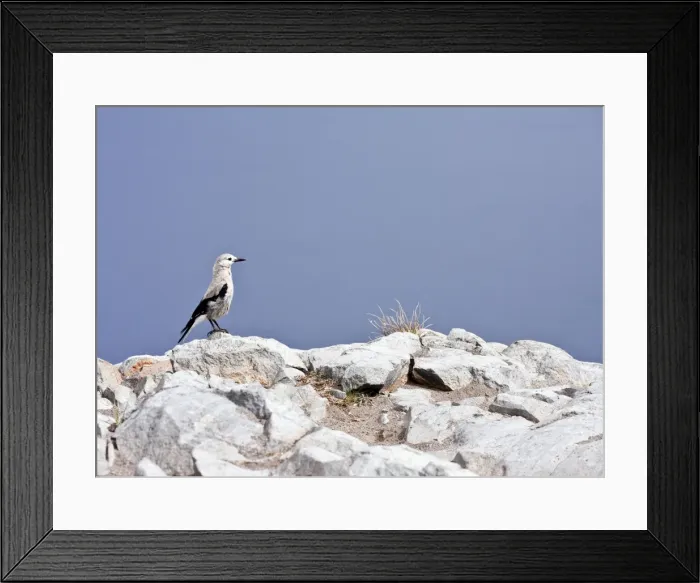 Framed Print : Picture No. 10886879 Framed Print : Picture No. 10886879
