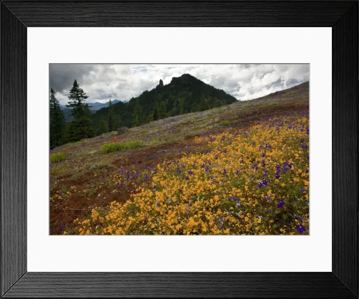 Framed Print : Picture No. 10886881 Framed Print : Picture No. 10886881