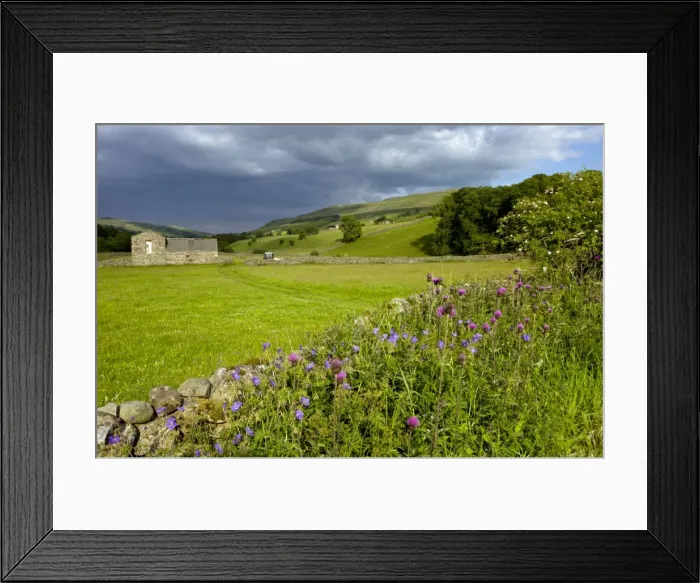 Framed Print : Picture No. 10886889 Framed Print : Picture No. 10886889
