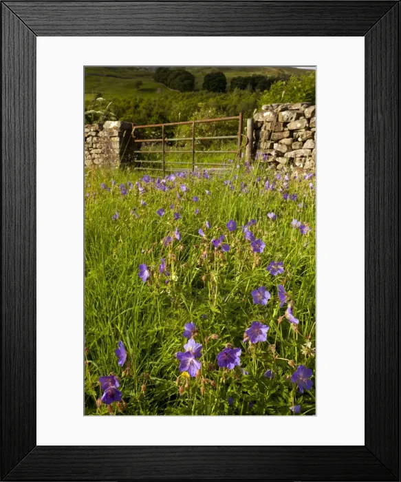 Framed Print : Picture No. 10886891 Framed Print : Picture No. 10886891