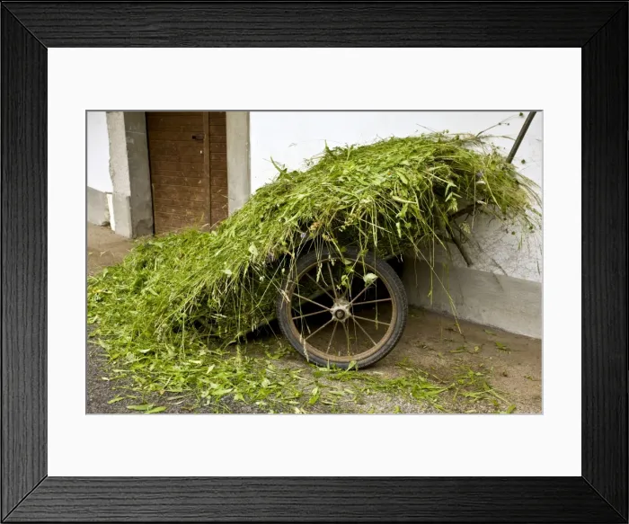 Framed Print : Picture No. 10886896 Framed Print : Picture No. 10886896