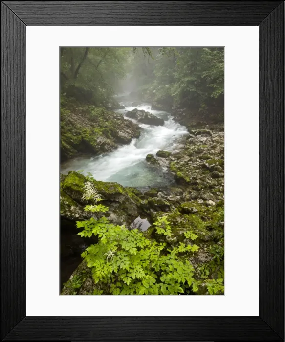 Framed Print : Picture No. 10886904 Framed Print : Picture No. 10886904