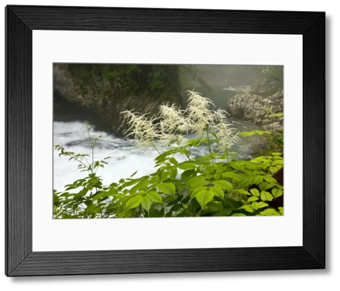 Framed Print : Picture No. 10886905 Framed Print : Picture No. 10886905
