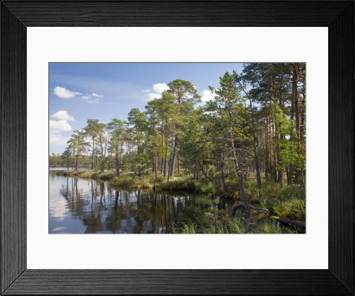 Framed Print : Picture No. 10886918 Framed Print : Picture No. 10886918