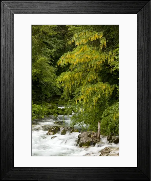 Framed Print : Picture No. 10886926 Framed Print : Picture No. 10886926