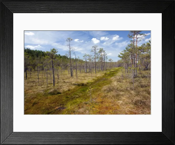 Framed Print : Picture No. 10886924 Framed Print : Picture No. 10886924