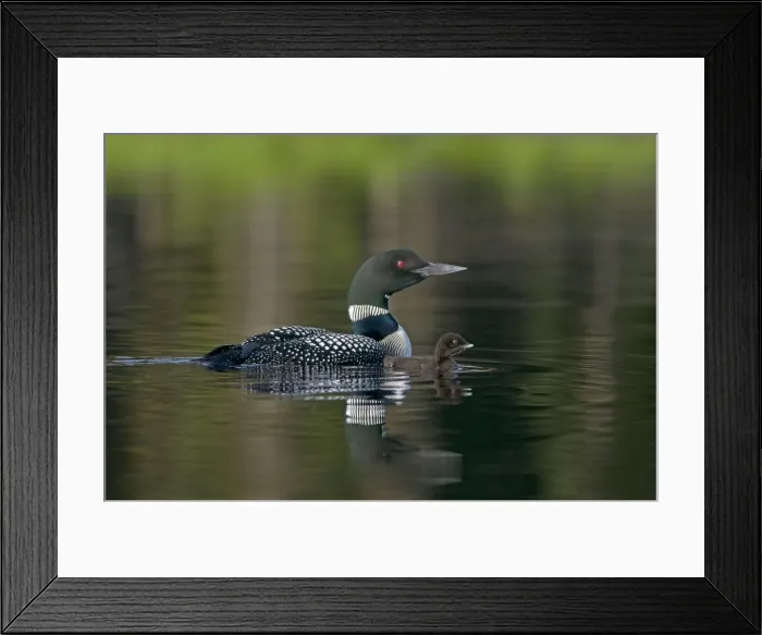 Framed Print : Picture No. 10886938 Framed Print : Picture No. 10886938
