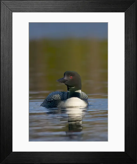Framed Print : Picture No. 10886940 Framed Print : Picture No. 10886940