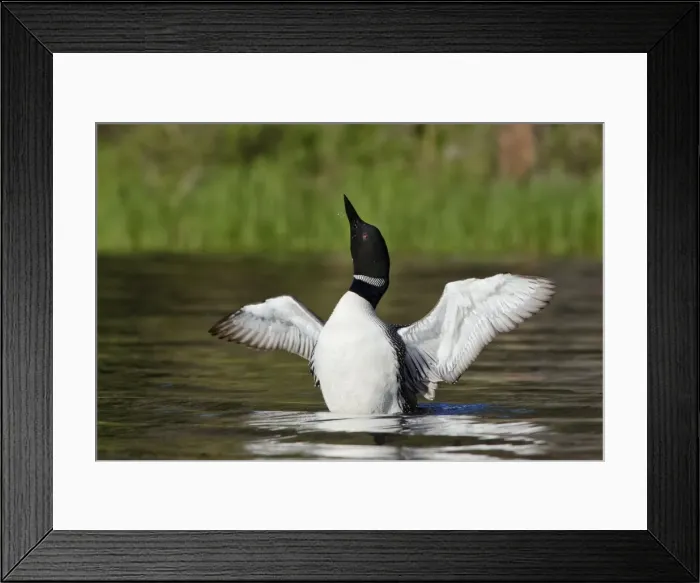 Framed Print : Picture No. 10886966 Framed Print : Picture No. 10886966