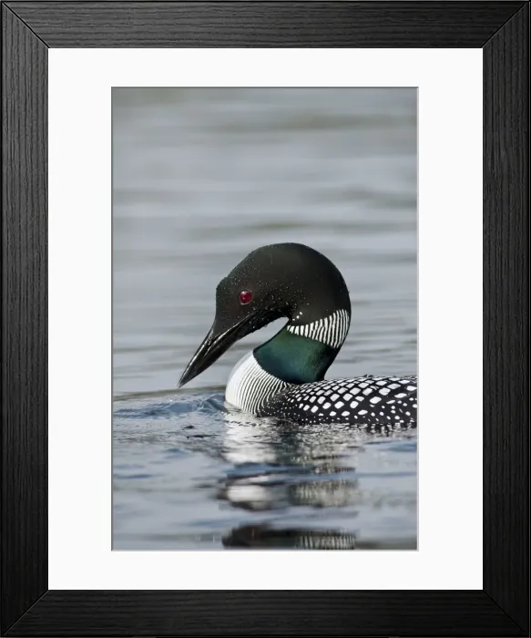 Framed Print : Picture No. 10886965 Framed Print : Picture No. 10886965