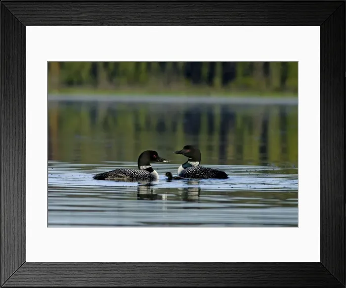 Framed Print : Picture No. 10886969 Framed Print : Picture No. 10886969