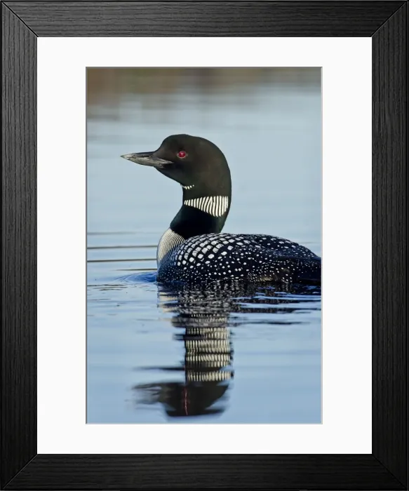 Framed Print : Picture No. 10886968 Framed Print : Picture No. 10886968