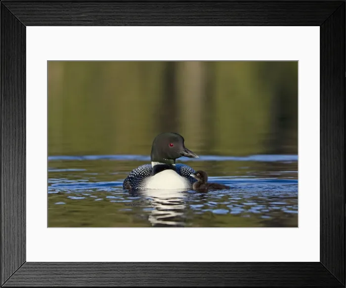 Framed Print : Picture No. 10886970 Framed Print : Picture No. 10886970