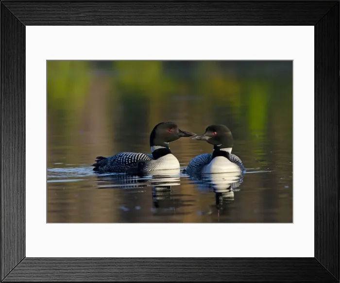 Framed Print : Picture No. 10886967 Framed Print : Picture No. 10886967