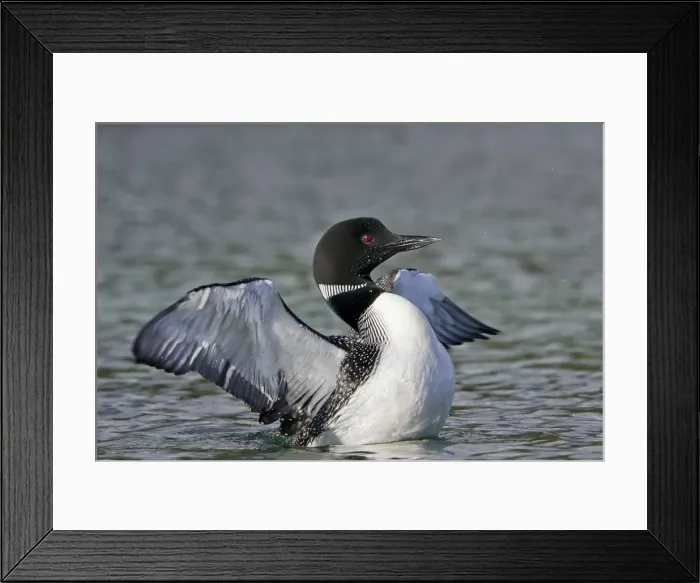 Framed Print : Picture No. 10886975 Framed Print : Picture No. 10886975