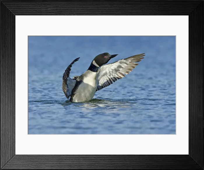 Framed Print : Picture No. 10886974