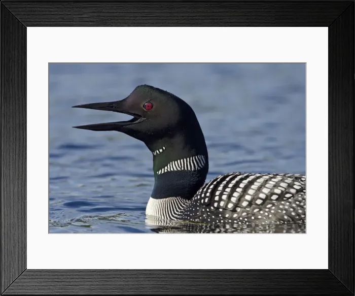 Framed Print : Picture No. 10886972 Framed Print : Picture No. 10886972