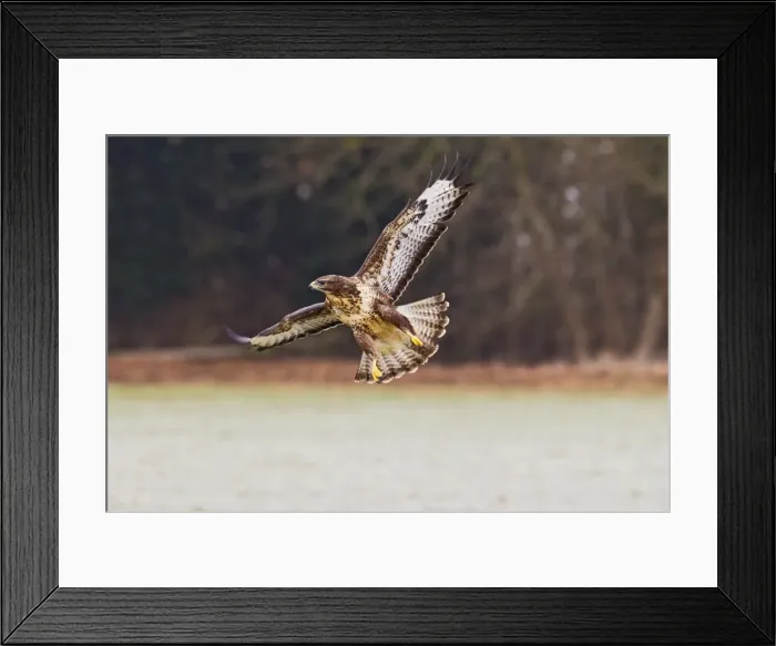 Framed Print : Picture No. 10887044 Framed Print : Picture No. 10887044