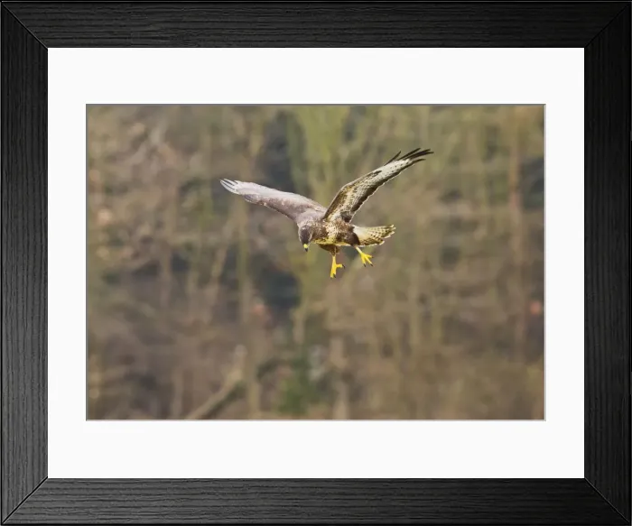 Framed Print : Picture No. 10887045 Framed Print : Picture No. 10887045