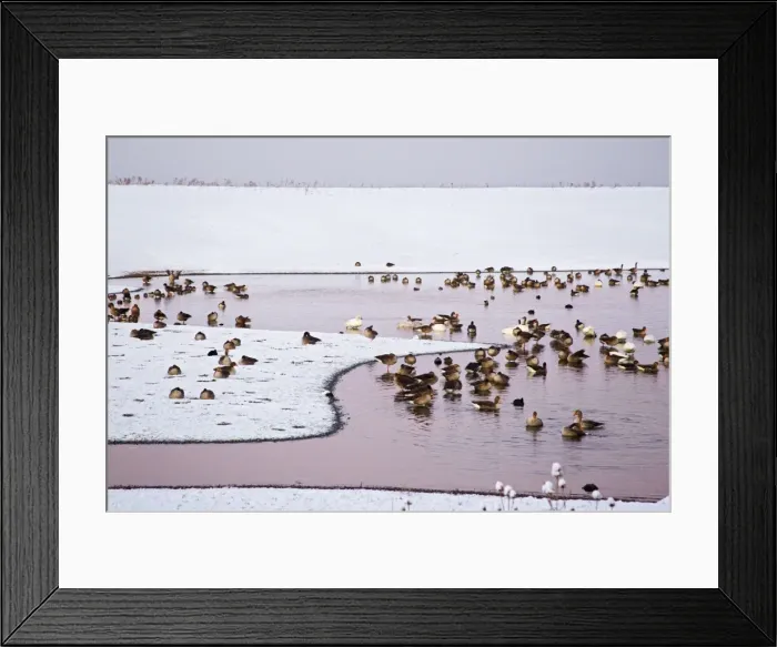 Framed Print : Picture No. 10887055 Framed Print : Picture No. 10887055