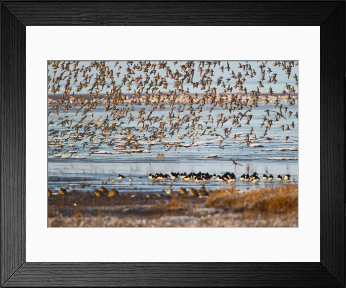 Framed Print : Picture No. 10887058 Framed Print : Picture No. 10887058
