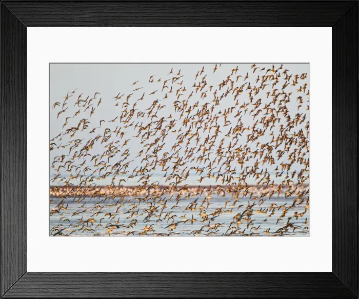 Framed Print : Picture No. 10887059 Framed Print : Picture No. 10887059