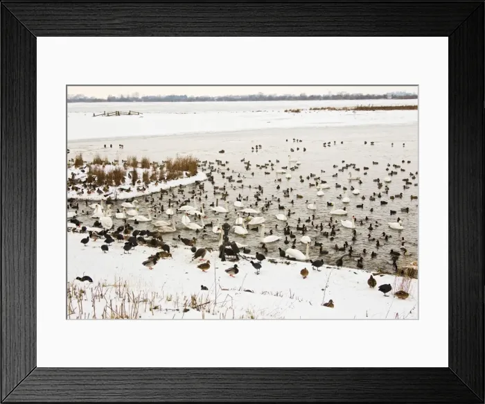 Framed Print : Picture No. 10887064 Framed Print : Picture No. 10887064