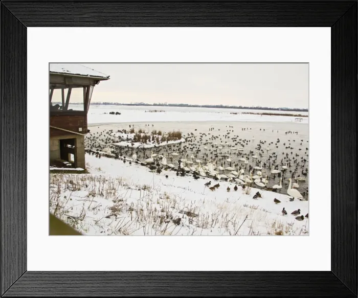 Framed Print : Picture No. 10887065 Framed Print : Picture No. 10887065