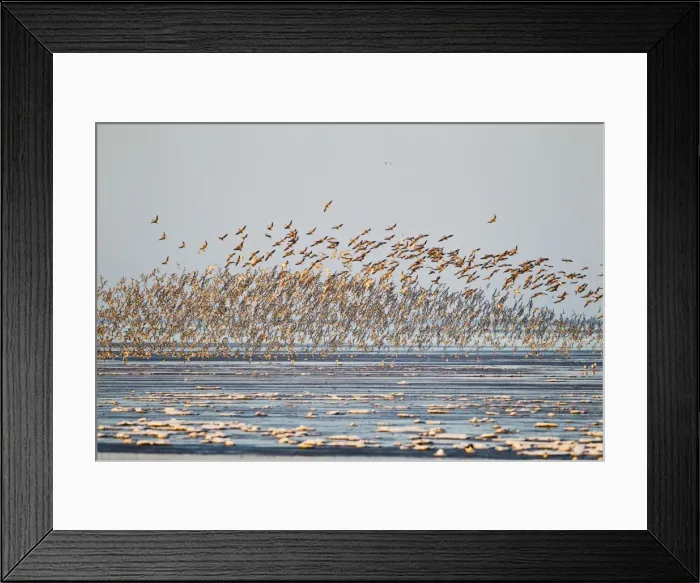 Framed Print : Picture No. 10887060 Framed Print : Picture No. 10887060