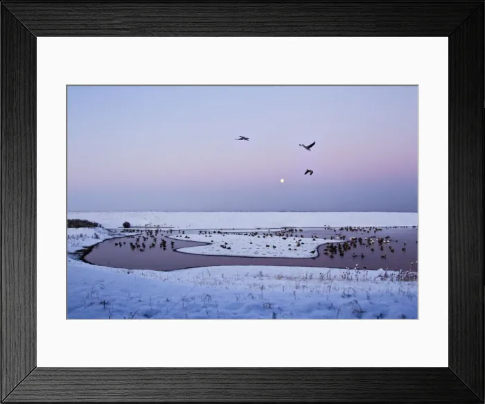 Framed Print : Picture No. 10887054 Framed Print : Picture No. 10887054