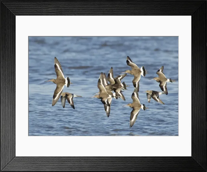 Framed Print : Picture No. 10887088 Framed Print : Picture No. 10887088