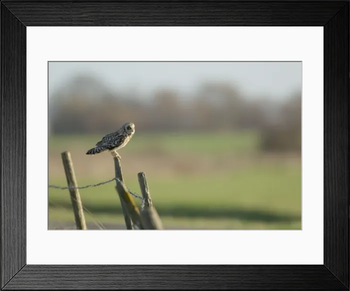 Framed Print : Picture No. 10887087 Framed Print : Picture No. 10887087