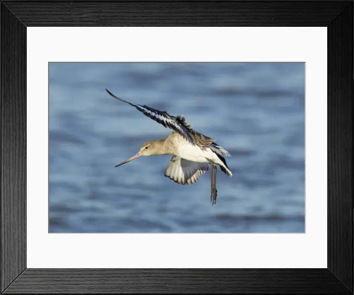 Framed Print : Picture No. 10887090 Framed Print : Picture No. 10887090