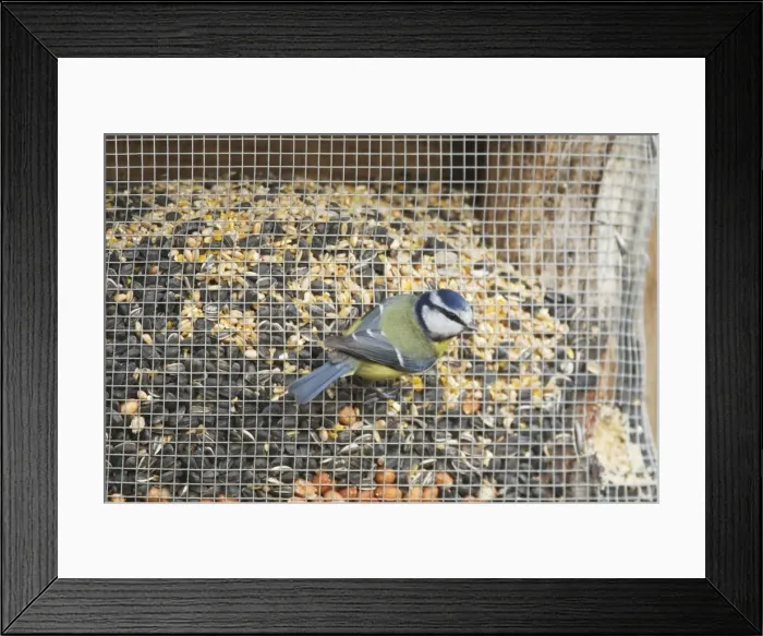 Framed Print : Picture No. 10887108 Framed Print : Picture No. 10887108