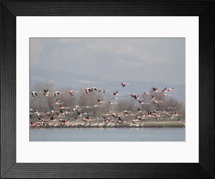 Framed Print : Picture No. 10887125 Framed Print : Picture No. 10887125