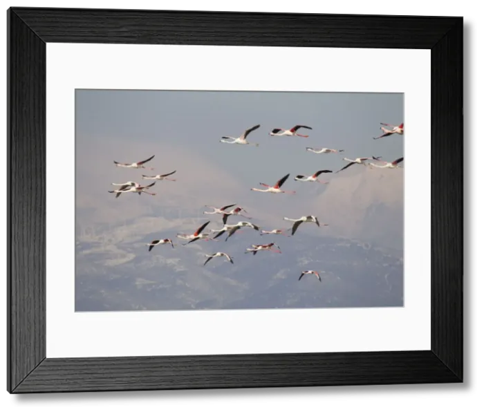 Framed Print : Picture No. 10887127 Framed Print : Picture No. 10887127