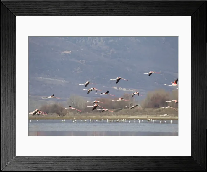 Framed Print : Picture No. 10887124 Framed Print : Picture No. 10887124