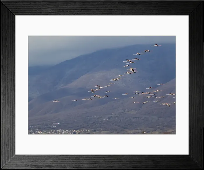 Framed Print : Picture No. 10887128 Framed Print : Picture No. 10887128