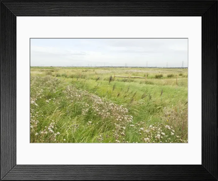 Framed Print : Picture No. 10887131 Framed Print : Picture No. 10887131